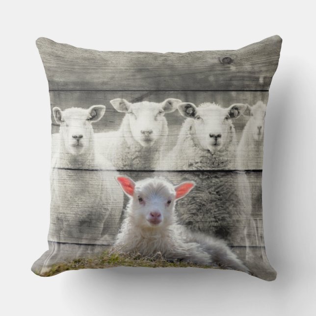 Coussin Lamb Lumbar (Recto)