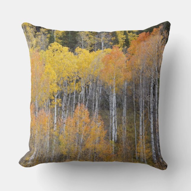 Coussin Lambert Hollow, trembles (Recto)