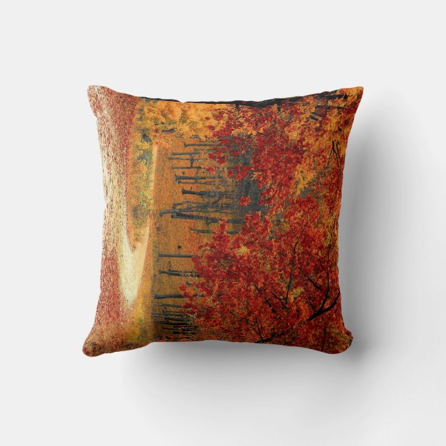 Coussin Lancer l'oreiller (Verso)