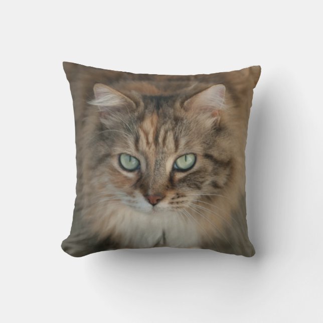 Coussin lancer l'oreiller avec un beau chat aux yeux verts (Recto)