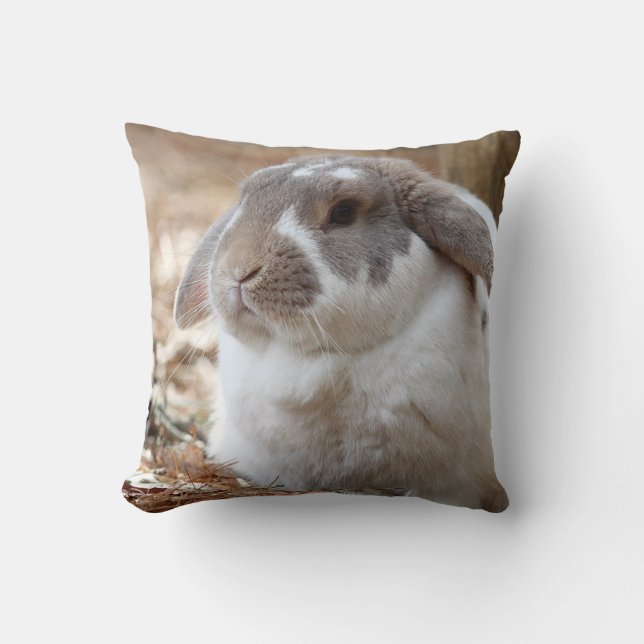 Coussin Lapin aux oreilles tombantes (Recto)