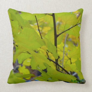 Coussin L'arbre des pilules de la vie