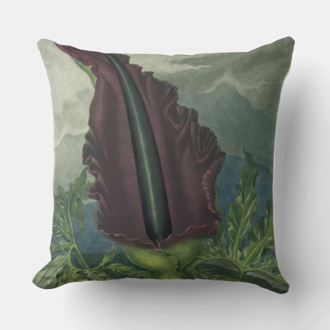 Coussin L'arum de dragon, gravé par la salle, 'du Templ (Recto)