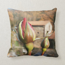 Coussin L'automne toscan s'est levé. La Toscane