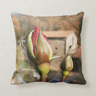 Coussin L'automne toscan s'est levé. La Toscane