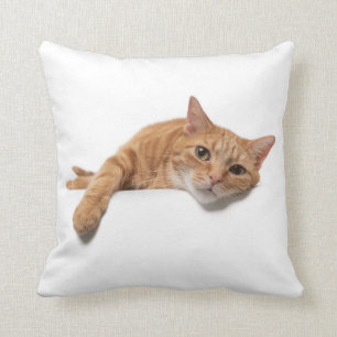 Coussin Le Chat Orangé s'allonge