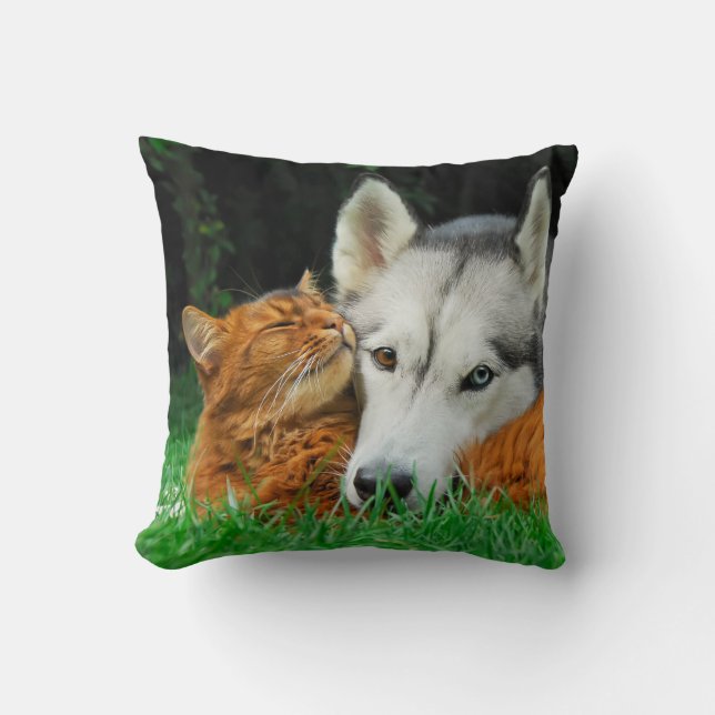 Coussin Le chat somalien et les amis mignons de chien de (Recto)