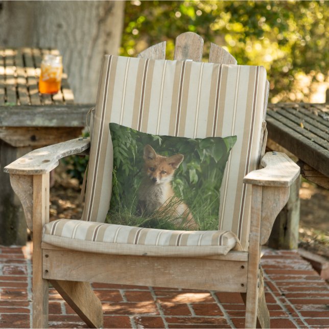 Coussin Le chou renard dans une forêt verte (Chaise)