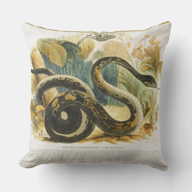 Coussin Le constricteur de boa, pub. éducatif (Recto)
