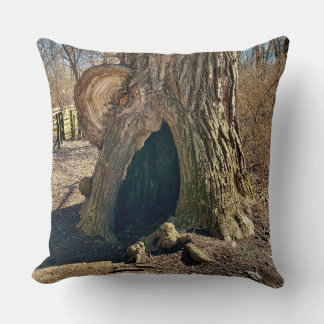 Coussin Le Creux Curieux