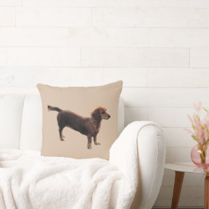 Coussin Le Dachshund d'or