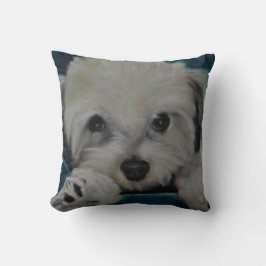 Coussin Le Havanese