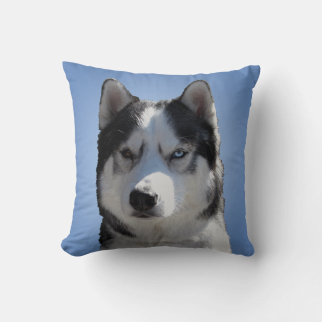 Coussin Le Malamute enroué de chien de traîneau sibérien (Recto)