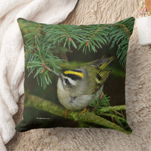 Coussin Le mignon oiseau chanteur Kinglet provoque un remu