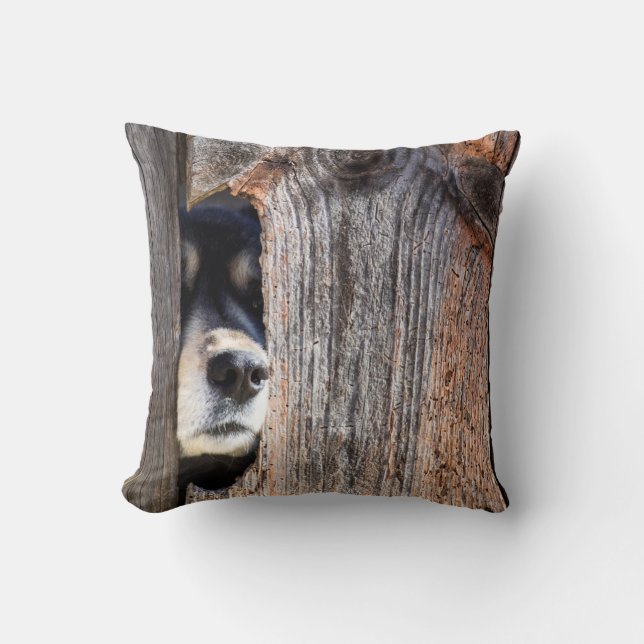 Coussin Le nez du berger allemand se balade à travers la c (Recto)