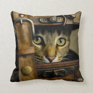 Coussin Le passager clandestin