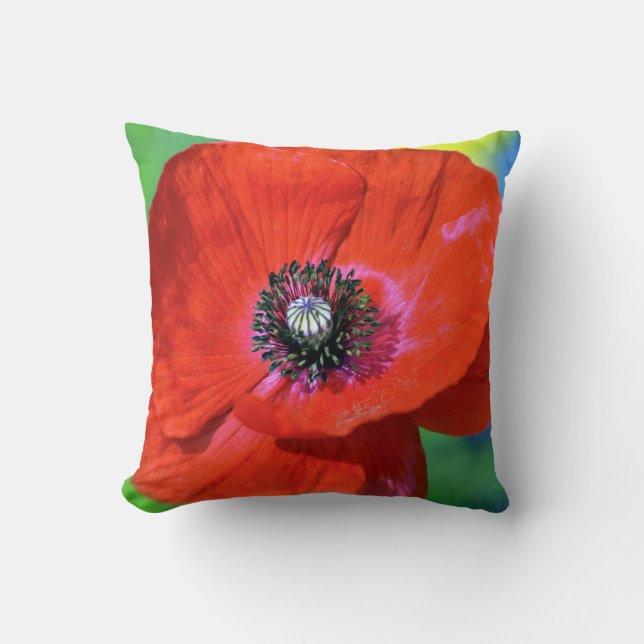 Coussin Le pavot rouge sous la lumière du soleil (Recto)