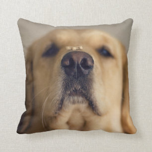 Coussin Le Retriever balancer le nez