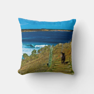 Coussin Le Teddy Volé, Lounge Lance Le Coussin.