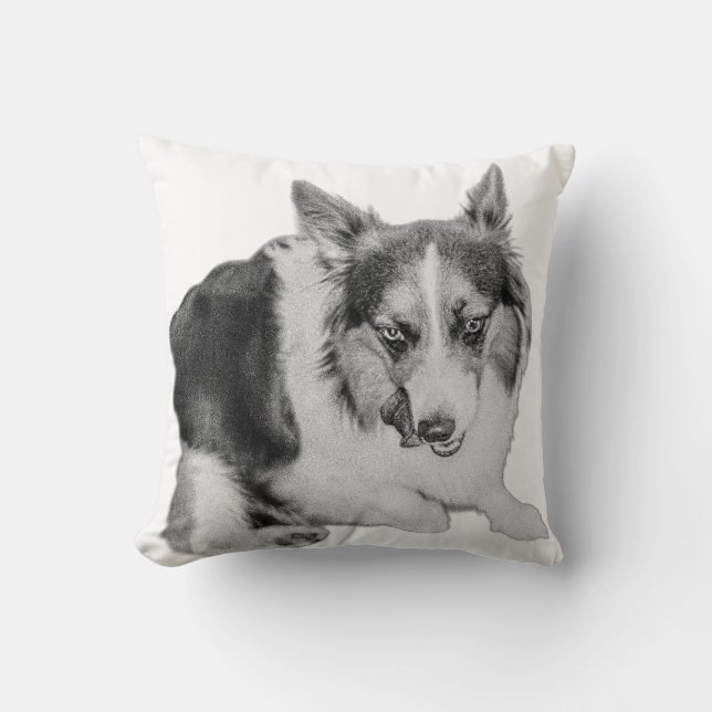 Coussin Le test du goût (Recto)