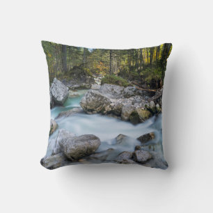 Coussin Le torrent Ramsauer Ache