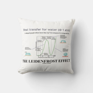 Coussin L'effet Leidenfrost Chimie Eau