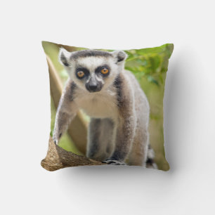 Coussin Lemur de bébé