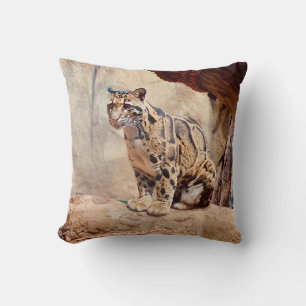 Coussin léopard nébuleux image nature