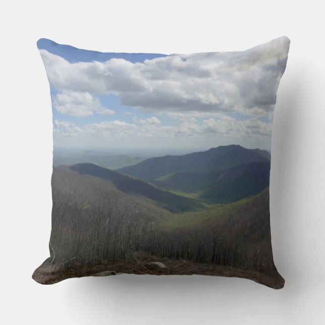 Coussin Les Appalaches au printemps (Recto)