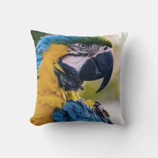 Coussin les oiseaux sont les seuls animaux à avoir des plu