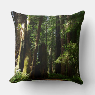 Coussin Les séquoias et les fougères du parc national Redw