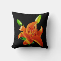 Lily orange sur noir