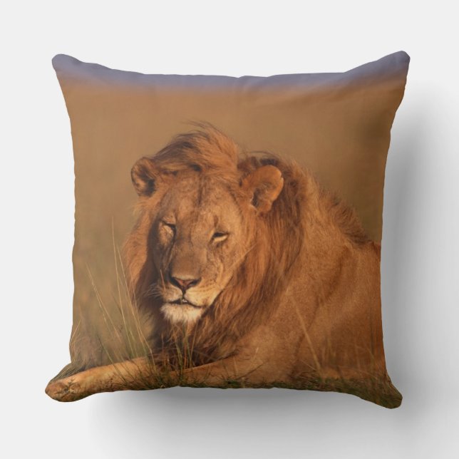 Coussin Lion (Recto)