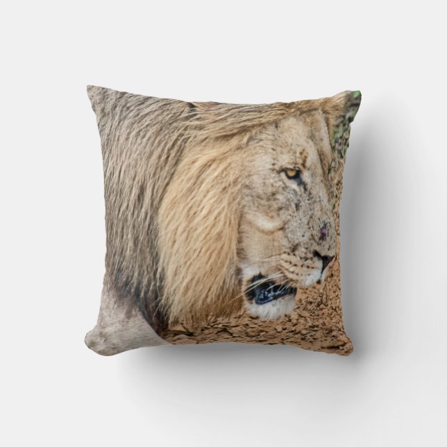 Coussin Lion africain (Recto)