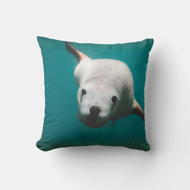 Coussin Lion de mer (Recto)