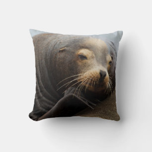 Coussin Lion de mer de Californie au repos
