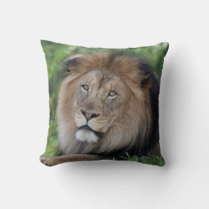 Coussin Lion Lounging dans une forêt