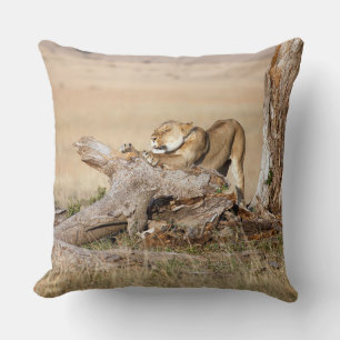 Coussin Lioness stretching