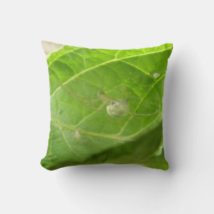 Coussin Little Spider