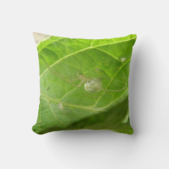 Coussin Little Spider (Recto)