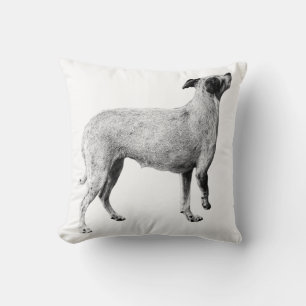 Coussin Loft Calm—Ami droit