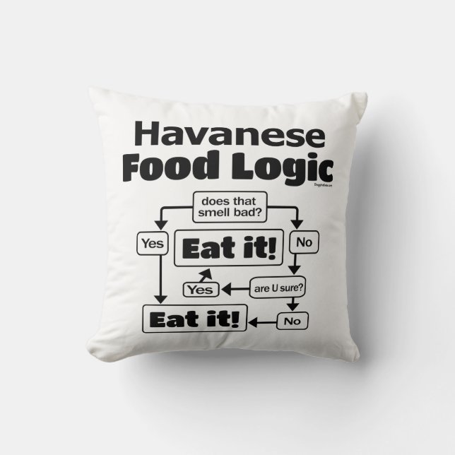 Coussin Logique alimentaire Havanaise (Recto)