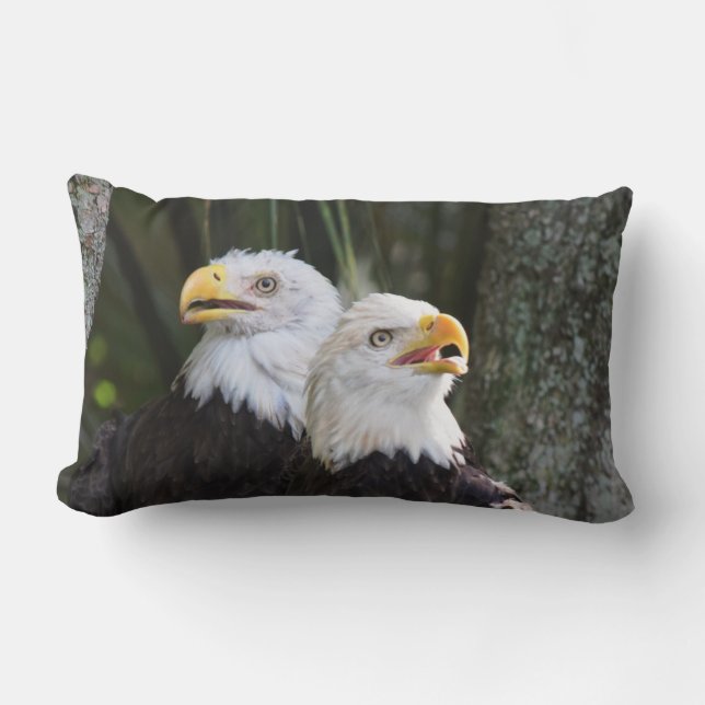 Coussin lombaire chauve d'Eagle (Recto)