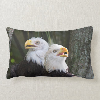 Coussin lombaire chauve d'Eagle