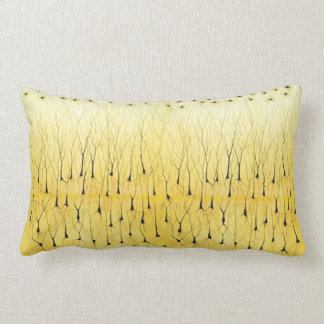 Coussin lombaire de Golgi
