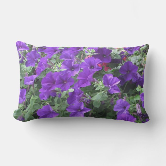 Coussin lombaire gai avec les pétunias pourpres ! (Recto)