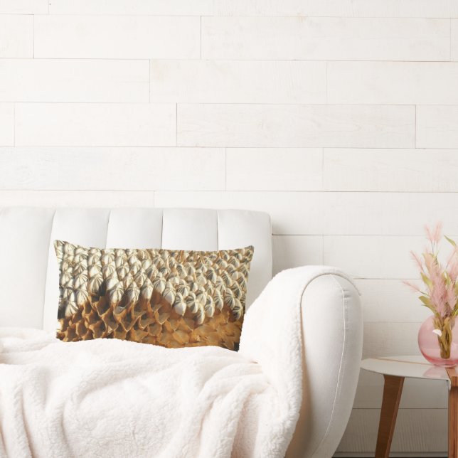 Coussin (lombaire) - Graines de tournesol (Canapé)