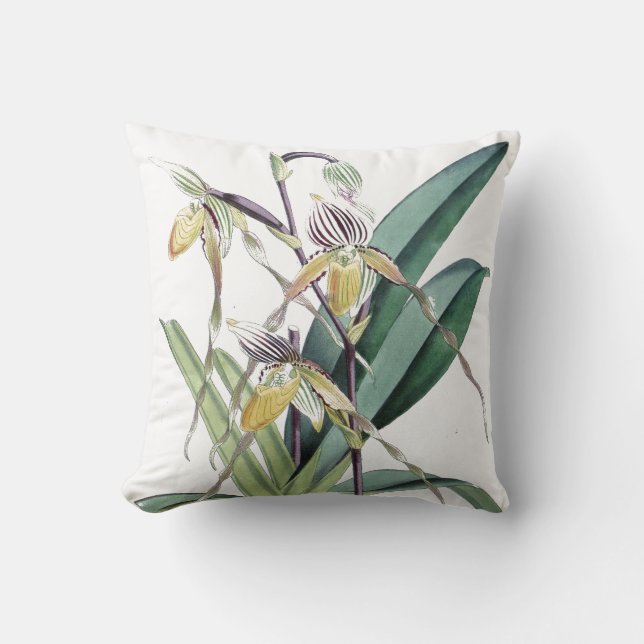 Coussin L'orchidée tropicale botanique vintage fleurit (Recto)