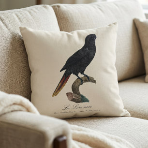 Coussin Lori noir ou Lori à bec rouge, Chalcopsitta atra
