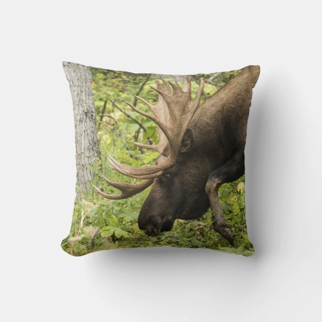 Coussin L'orignal (Recto)